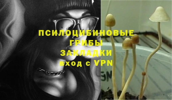молекула духа Армянск