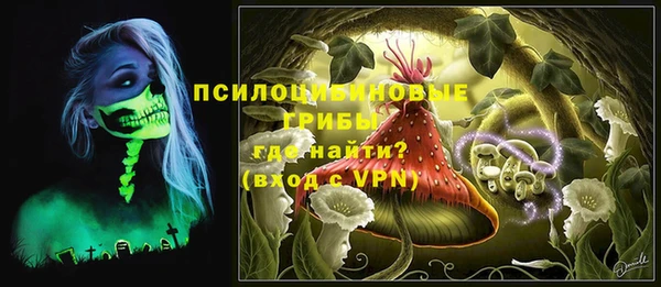молекула духа Армянск