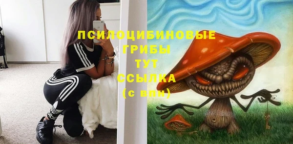 гашиш Арсеньев
