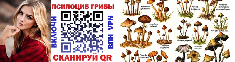 Галлюциногенные грибы мицелий  Ливны 