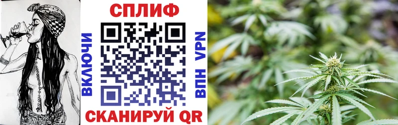 Конопля индика Ливны